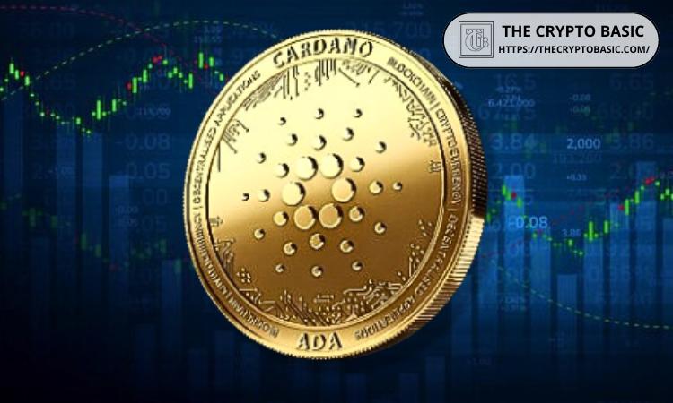 彭博社揭示: 为什么Cardano价格飙升,ADA涨幅超过BTC达100%