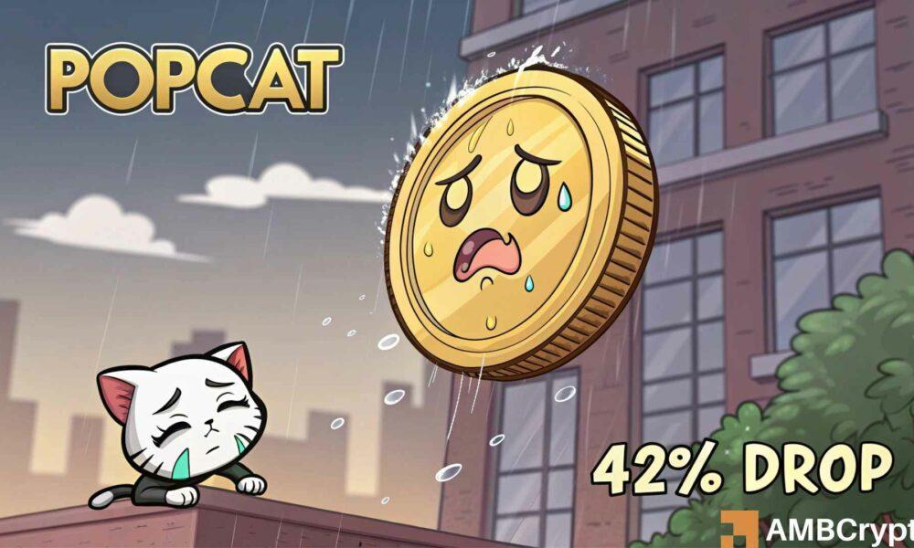POPCAT可能面临42%的下降——原因揭秘