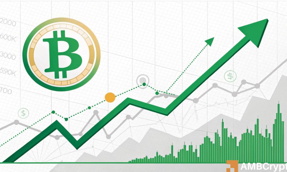 预测比特币的下一步行动：下一个短期集会在即？